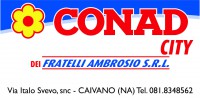/album/sponsor/banner-conad-gi%c3%a0-stampato-jpg/
